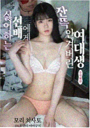 海雾航线剧集封面